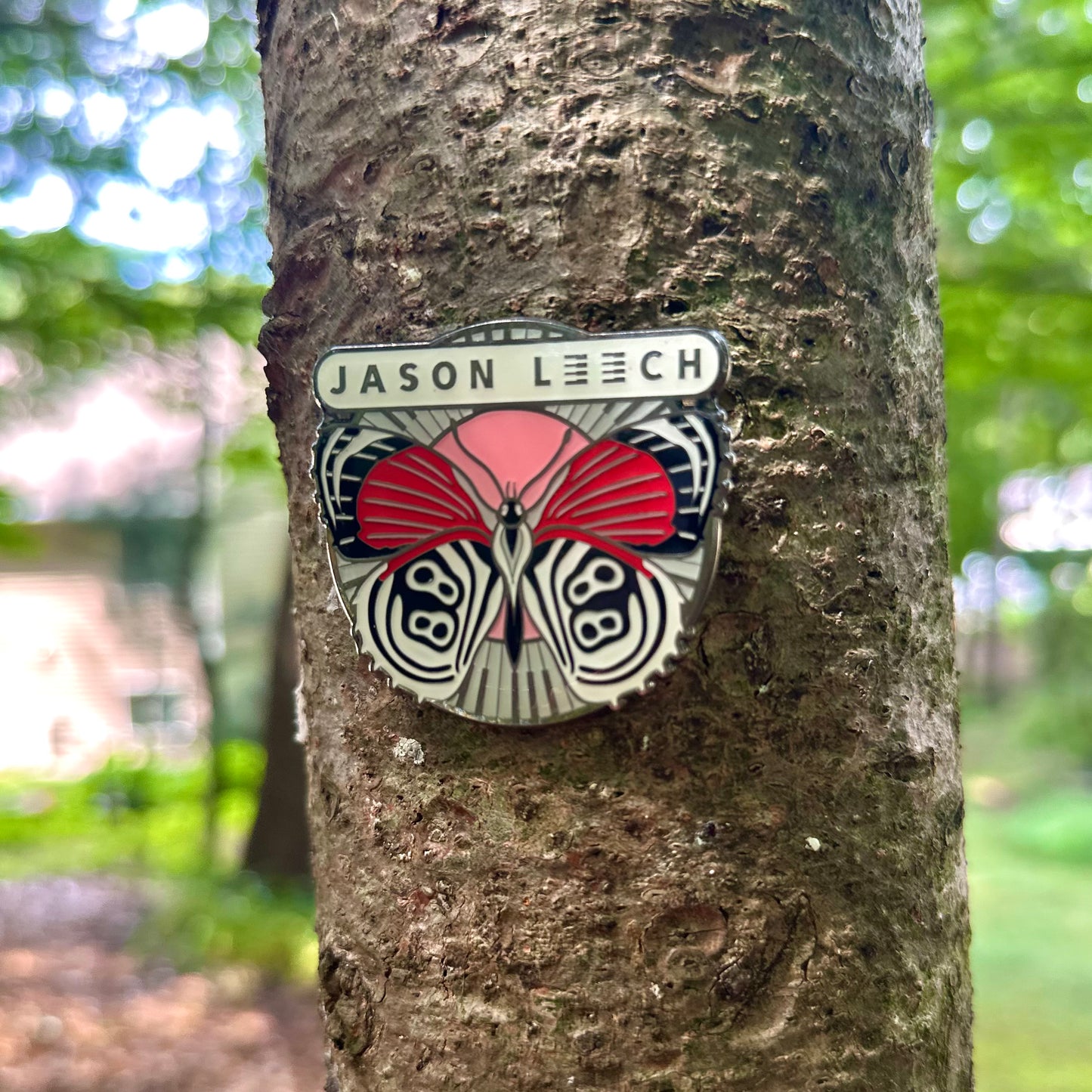 Jason's 88 Butterfly Pin